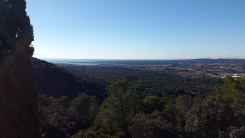 Scenic view of landscape against clear sky