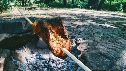 High angle view of fire on wood in field