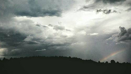 Silhouette of trees against storm clouds