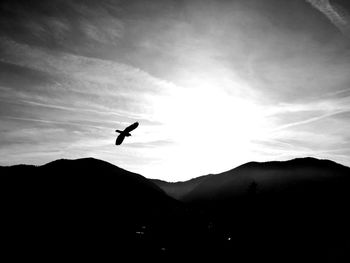 Low angle view of silhouette bird flying against sky