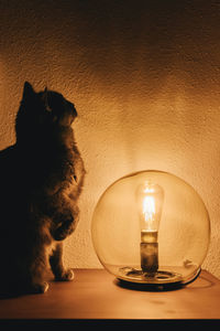 Lit tea light candles on table against wall