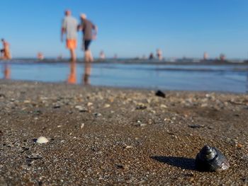 Close-up of beach against sky