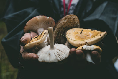 Close-up of hand holding mushroom