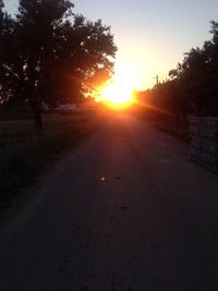 Road amidst trees against sky during sunset