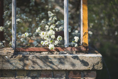 Close-up of rusty metal on wall