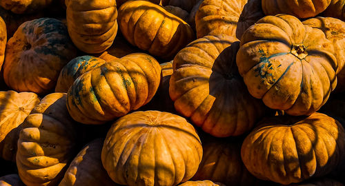 Full frame shot of pumpkins at market stall