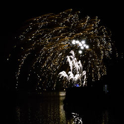 Firework display over lake against sky at night