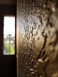 Close-up of wet spider web on window