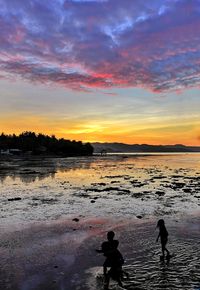 Silhouette people on beach against sky during sunset