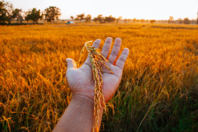 Hand of person on field against sky