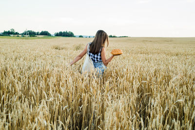 Full length of wheat in field