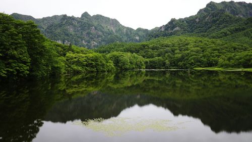 Scenic view of lake with reflection of trees by mountain