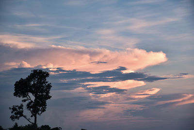 The evening sky with a large cloud