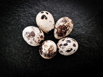High angle view of eggs on table