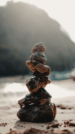 Close-up of stack on rock