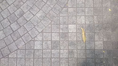 High angle view of yellow umbrella on street