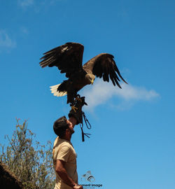 Low angle view of man flying against blue sky