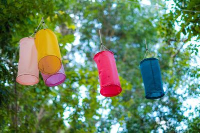 Low angle view of lanterns hanging on tree