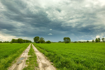 Country road through green fields and dark clouds on the sky.