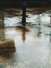 Reflection of puddle in water