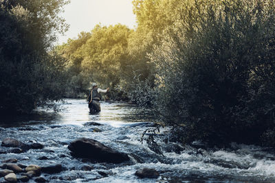 Man fishing in lake at forest