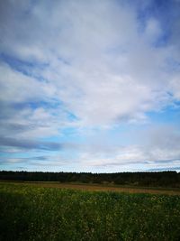 Scenic view of field against sky