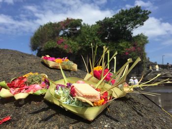 Close-up of flowers on beach against sky