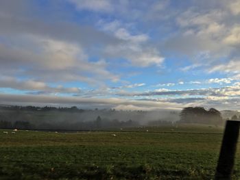 Scenic view of field against sky