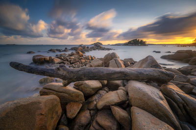 Driftwood on beach against sky during sunset