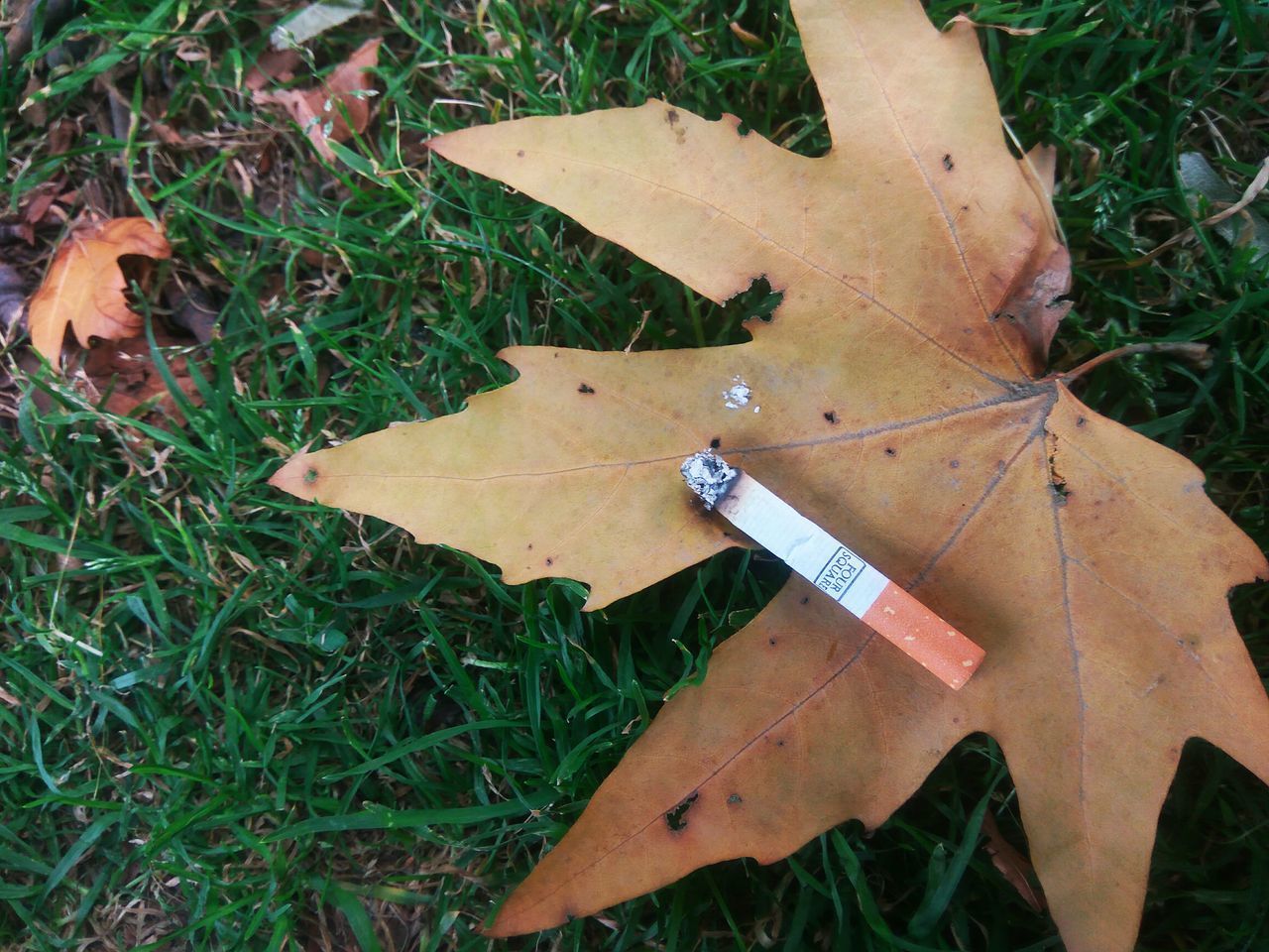 HIGH ANGLE VIEW OF CIGARETTE ON FIELD BY GRASS