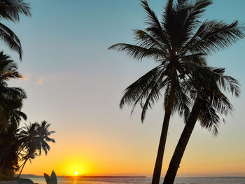 Silhouette palm tree by sea against sky at sunset