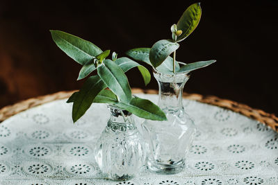 Close-up of vase on table