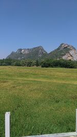 Scenic view of field against clear sky