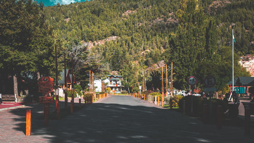 Street amidst trees in city