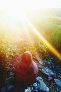 Close-up of man in sunlight