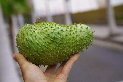 Close-up of hand holding fruit