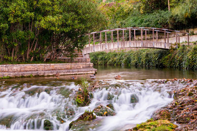 Bridge over river against trees