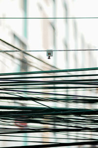 Close-up of telephone pole against wall