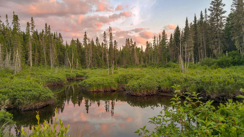 Scenic view of lake against sky