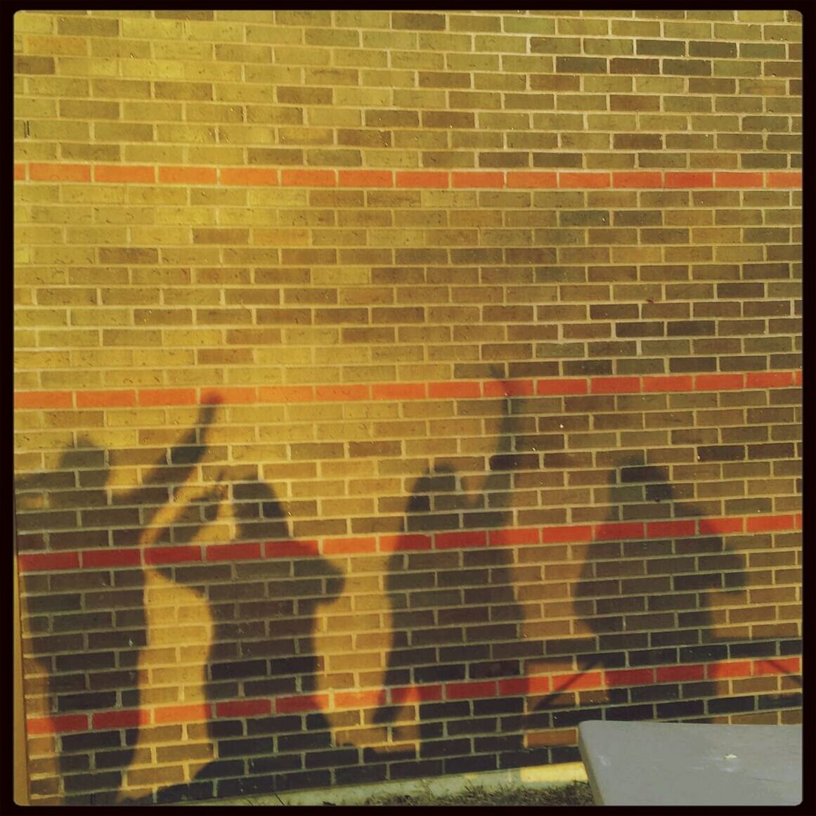 Brick Wall