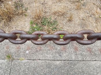 Close-up of chain on field