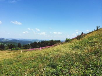 Scenic view of landscape against cloudy sky