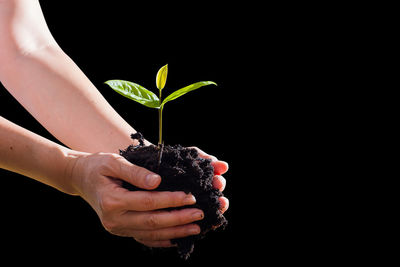 Close-up of hand holding plant against black background