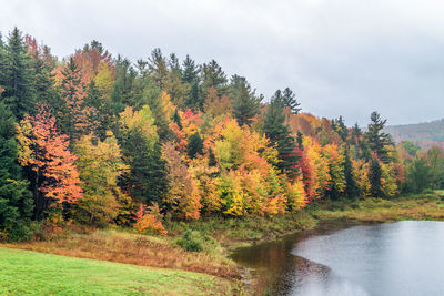 Scenic view of lake by trees against sky during autumn