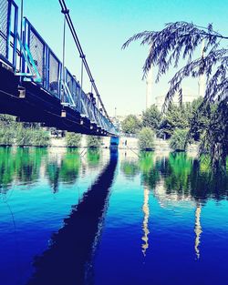 Reflection of trees in water