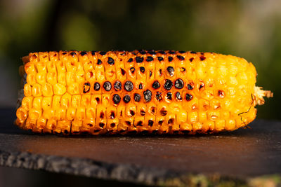 Close-up of corn on table