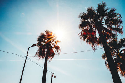 Low angle view of silhouette palm tree against sky