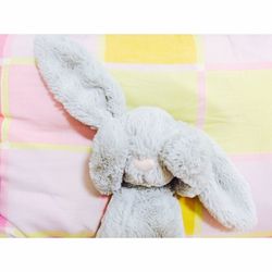 Full frame shot of cat