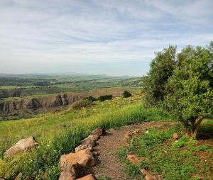 Scenic view of landscape against cloudy sky