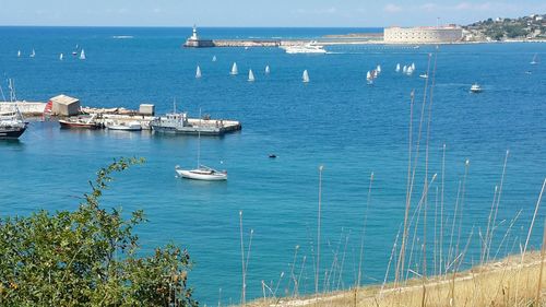 High angle view of sailboats in sea